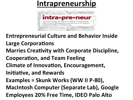 intrapreneurship